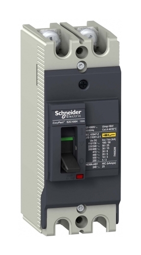 Силовой автомат Schneider Electric Easypact EZC 100, TM-D, 30кА, 2P, 20А